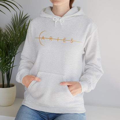 Aries BrushStroke Hoodie