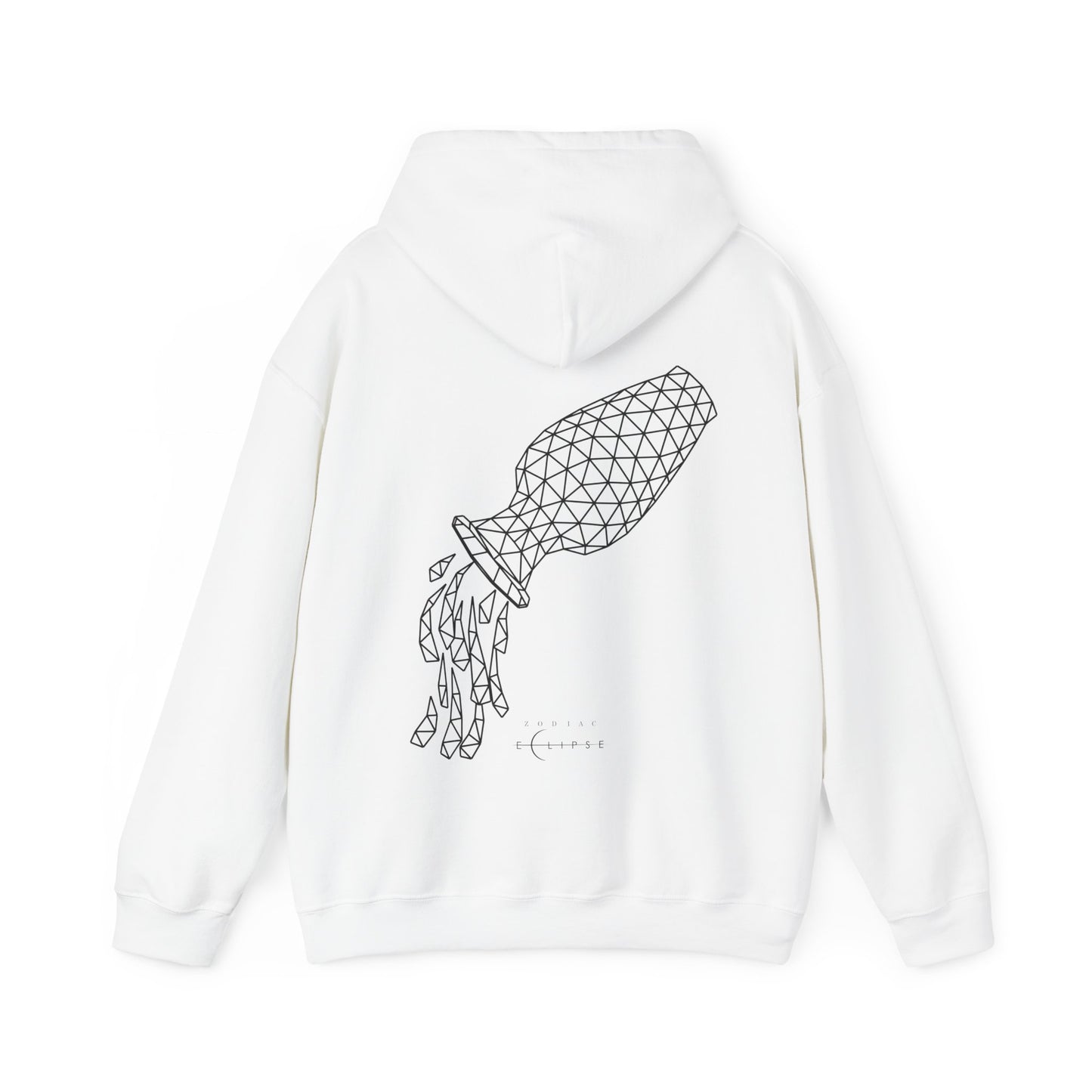 Unadorned Aquarius Hoodie