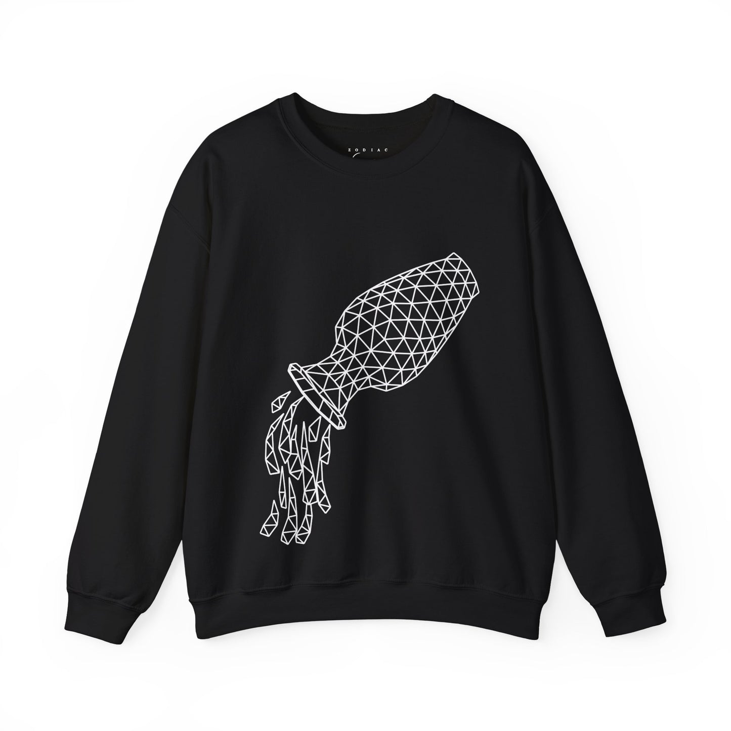 Aquarius Unadorned Sweatshirt