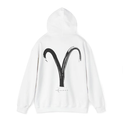 BrushStroke Aries Hoodie