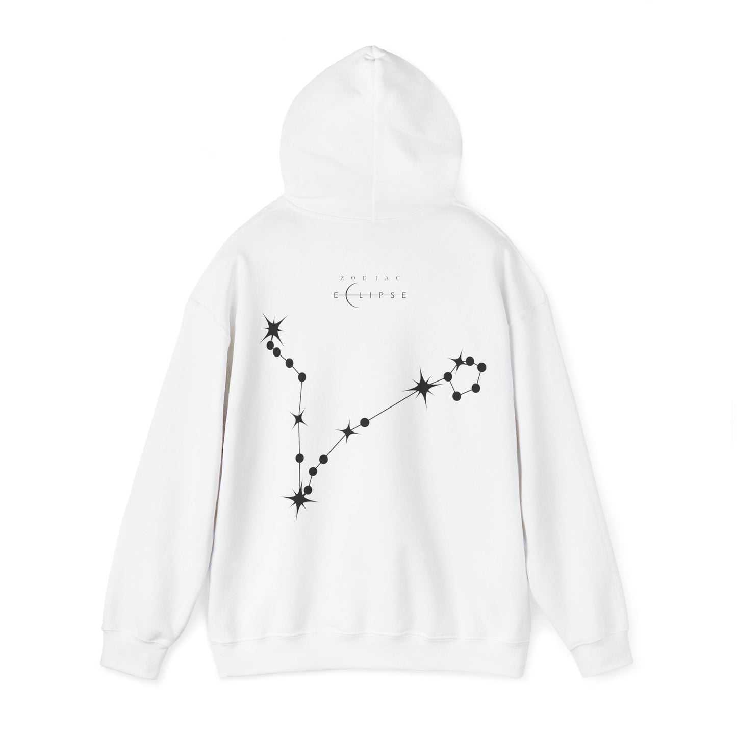 Pisces Skylight Hoodie