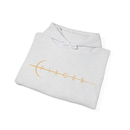 BrushStroke Pisces Hoodie