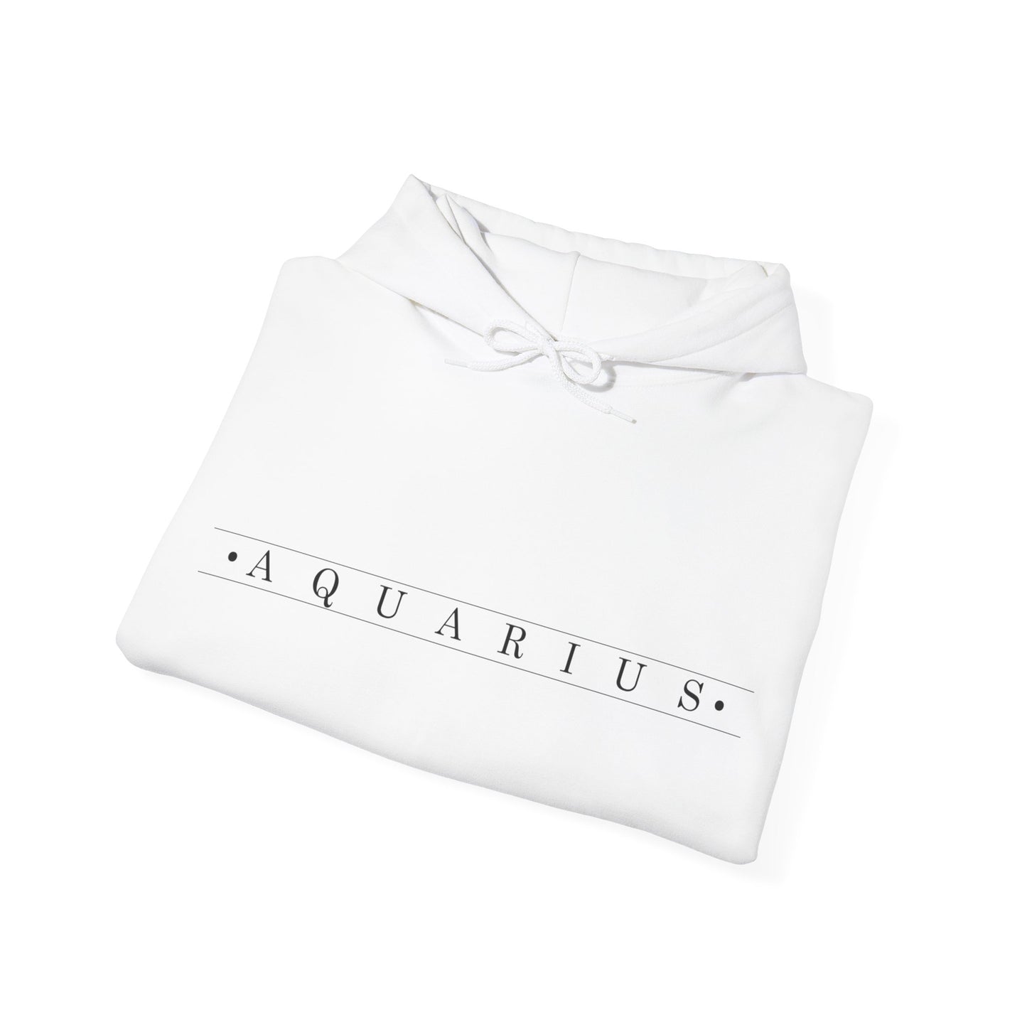 Aquarius Unadorned Hoodie