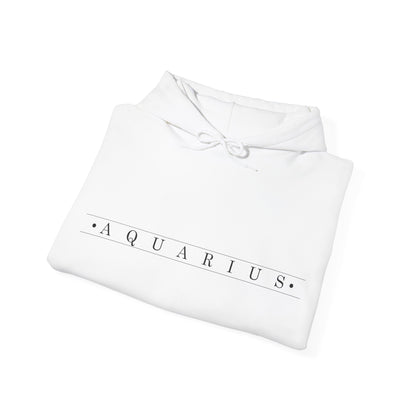 Aquarius Unadorned Hoodie