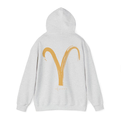 BrushStroke Aries Hoodie