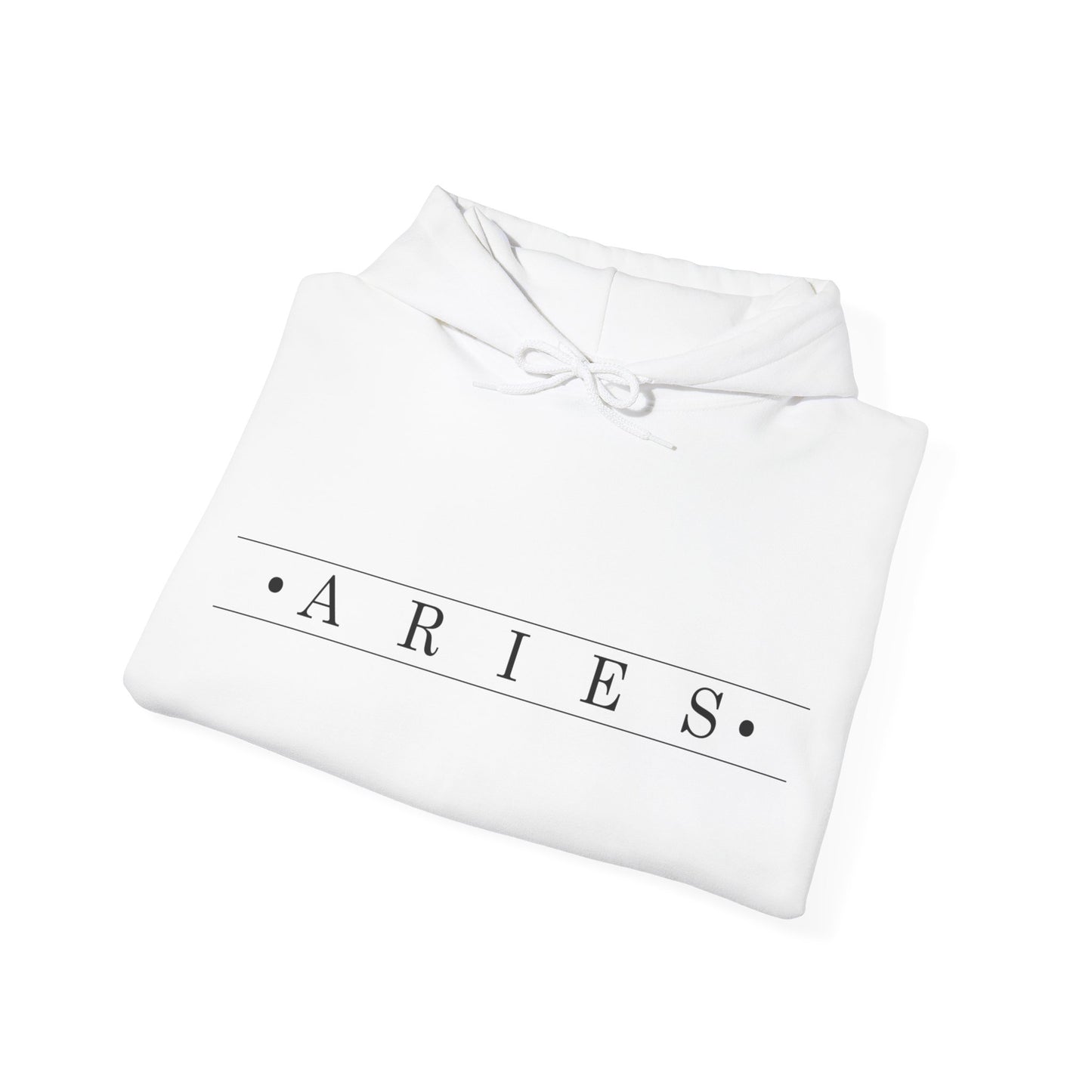 Aries Unadorned Hoodie