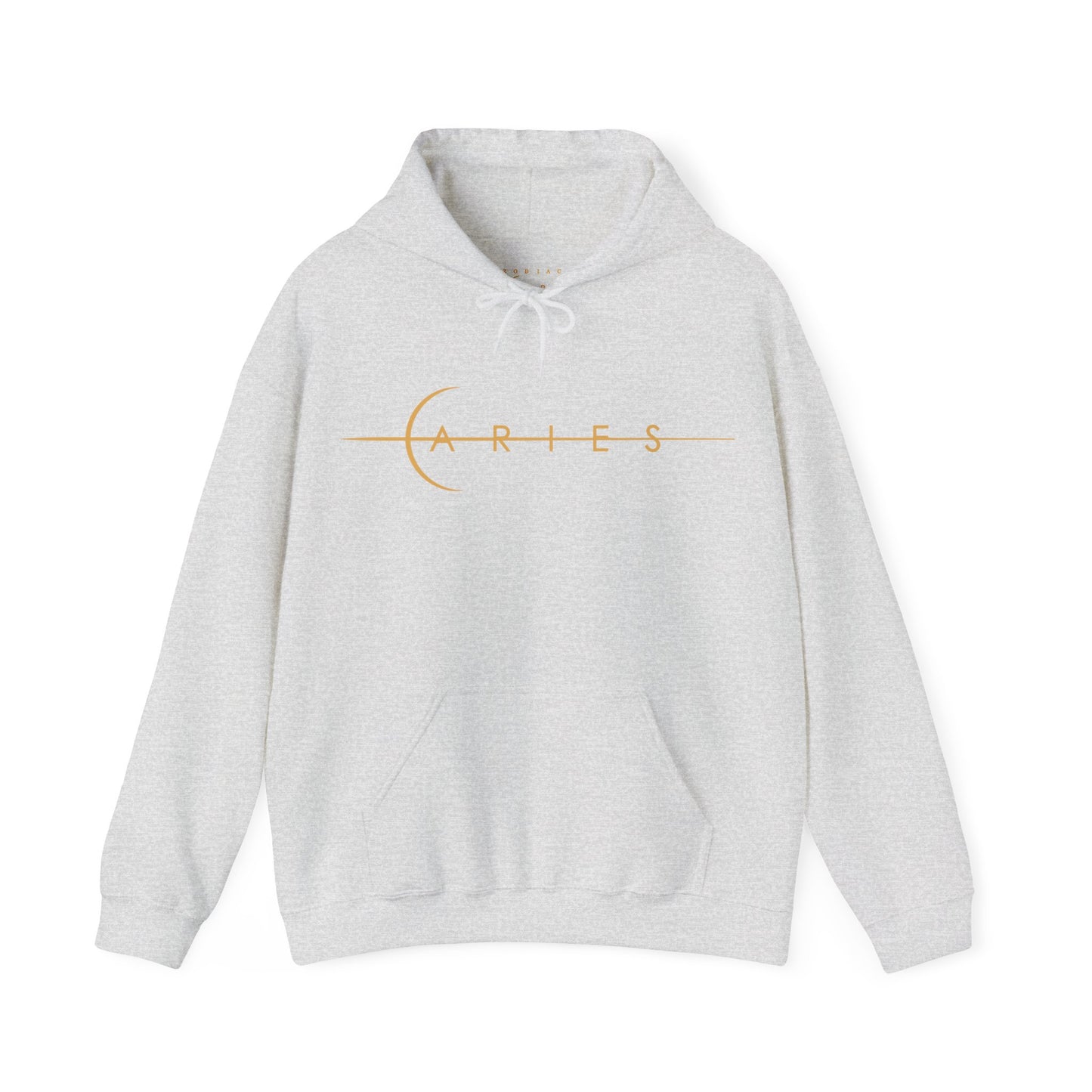 BrushStroke Aries Hoodie