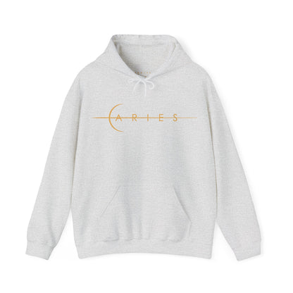 BrushStroke Aries Hoodie