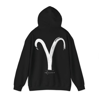 BrushStroke Aries Hoodie