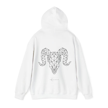 Aries Unadorned Hoodie