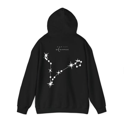 Skylight Pisces Hoodie