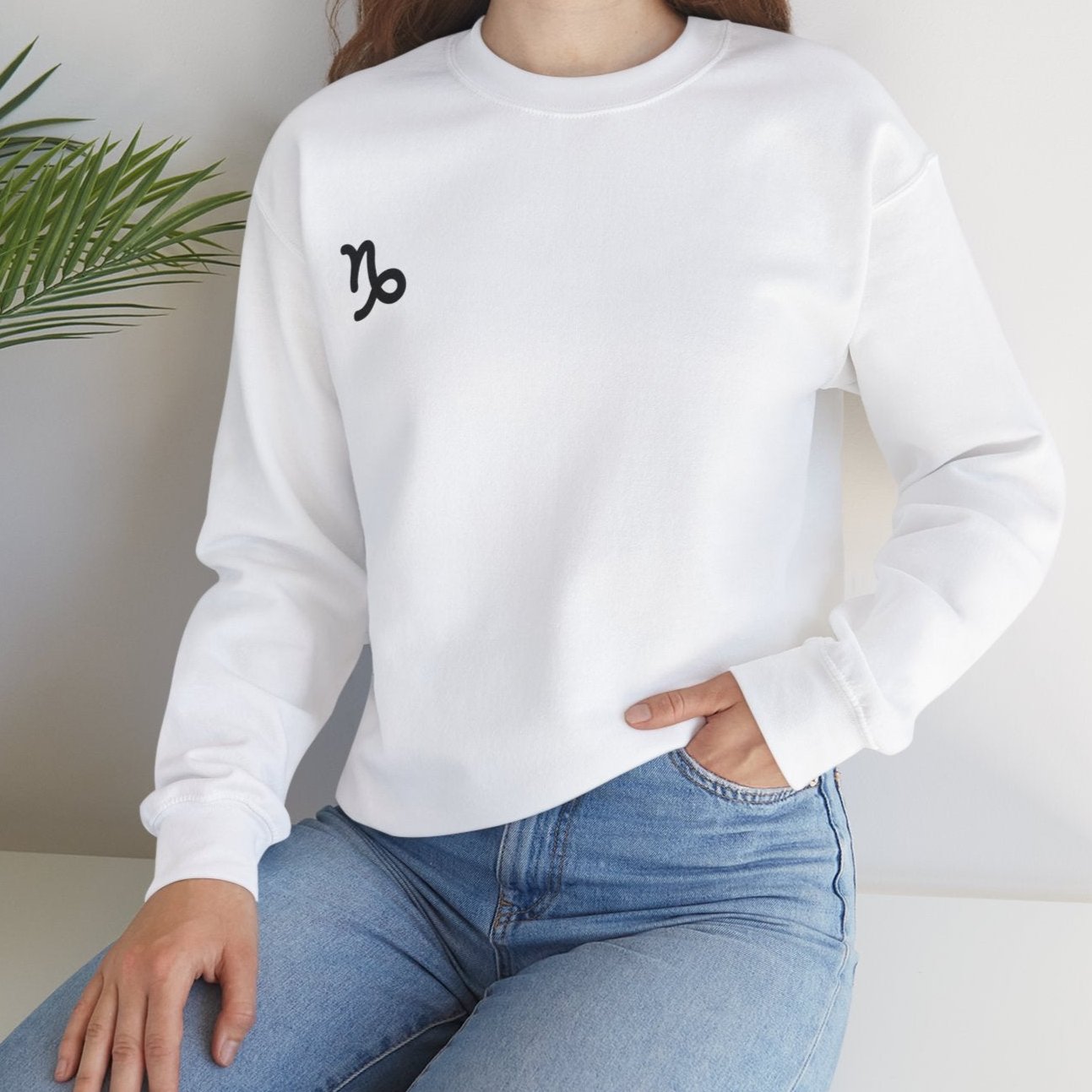 Capricorn Skylight Sweatshirt