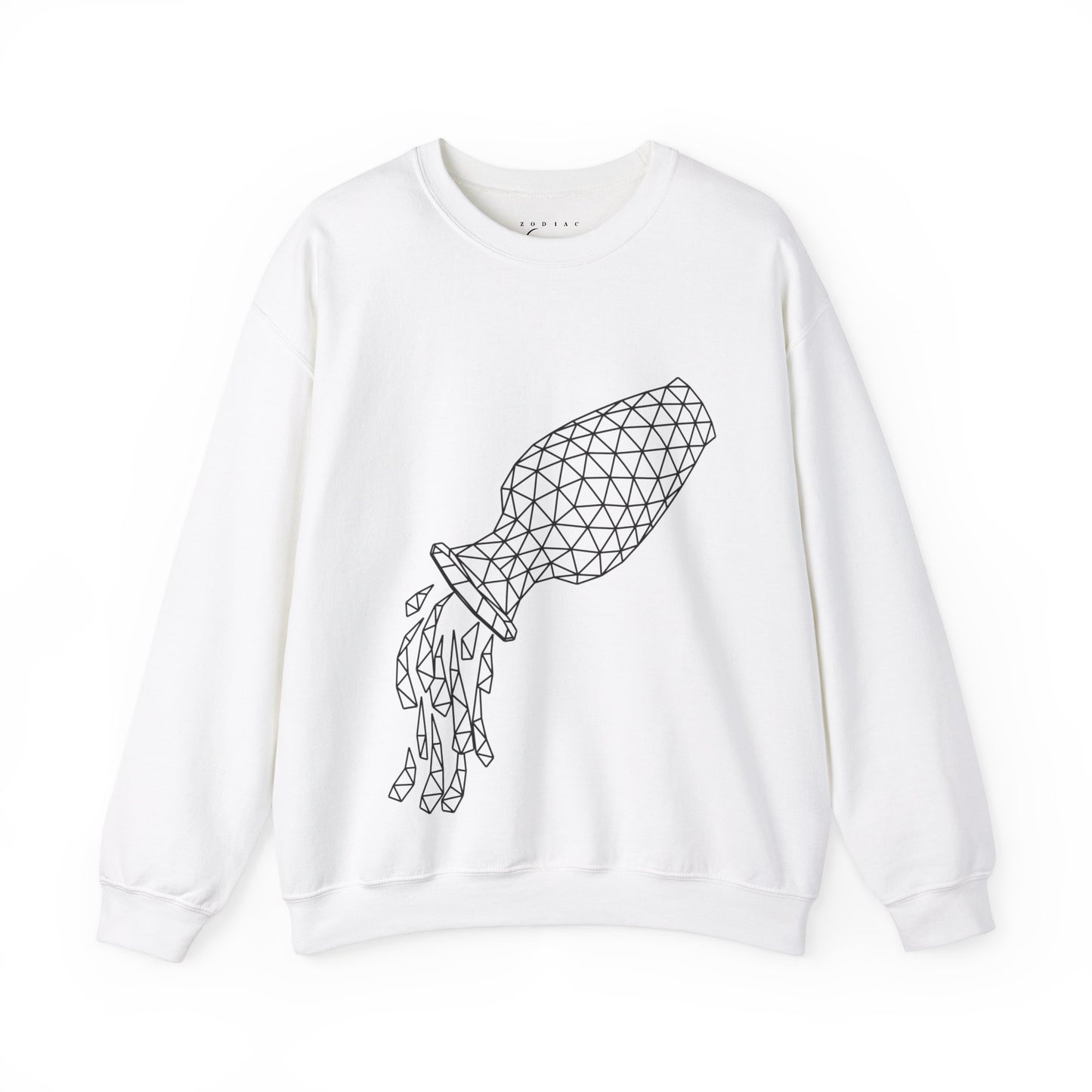 Aquarius Unadorned Sweatshirt