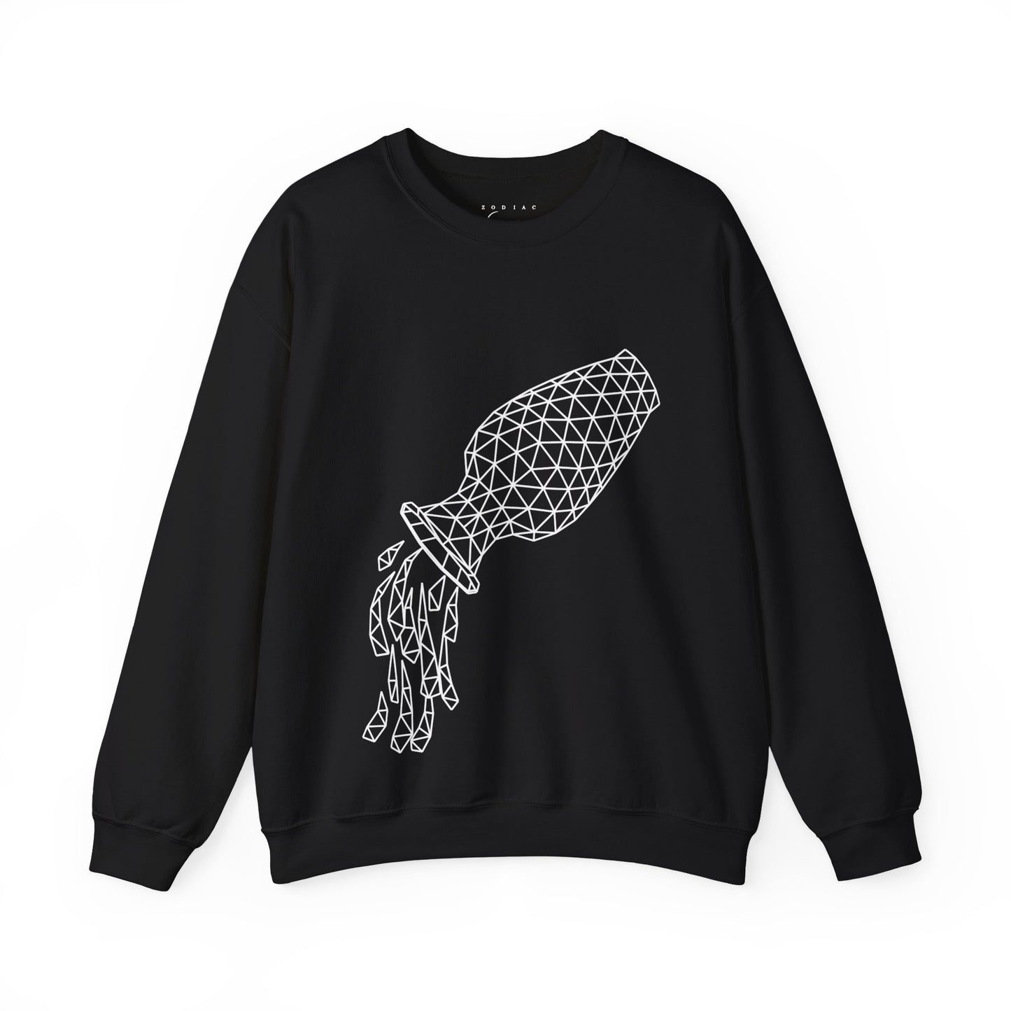 Unadorned Aquarius Sweatshirt