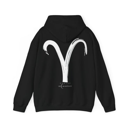 BrushStroke Aries Hoodie