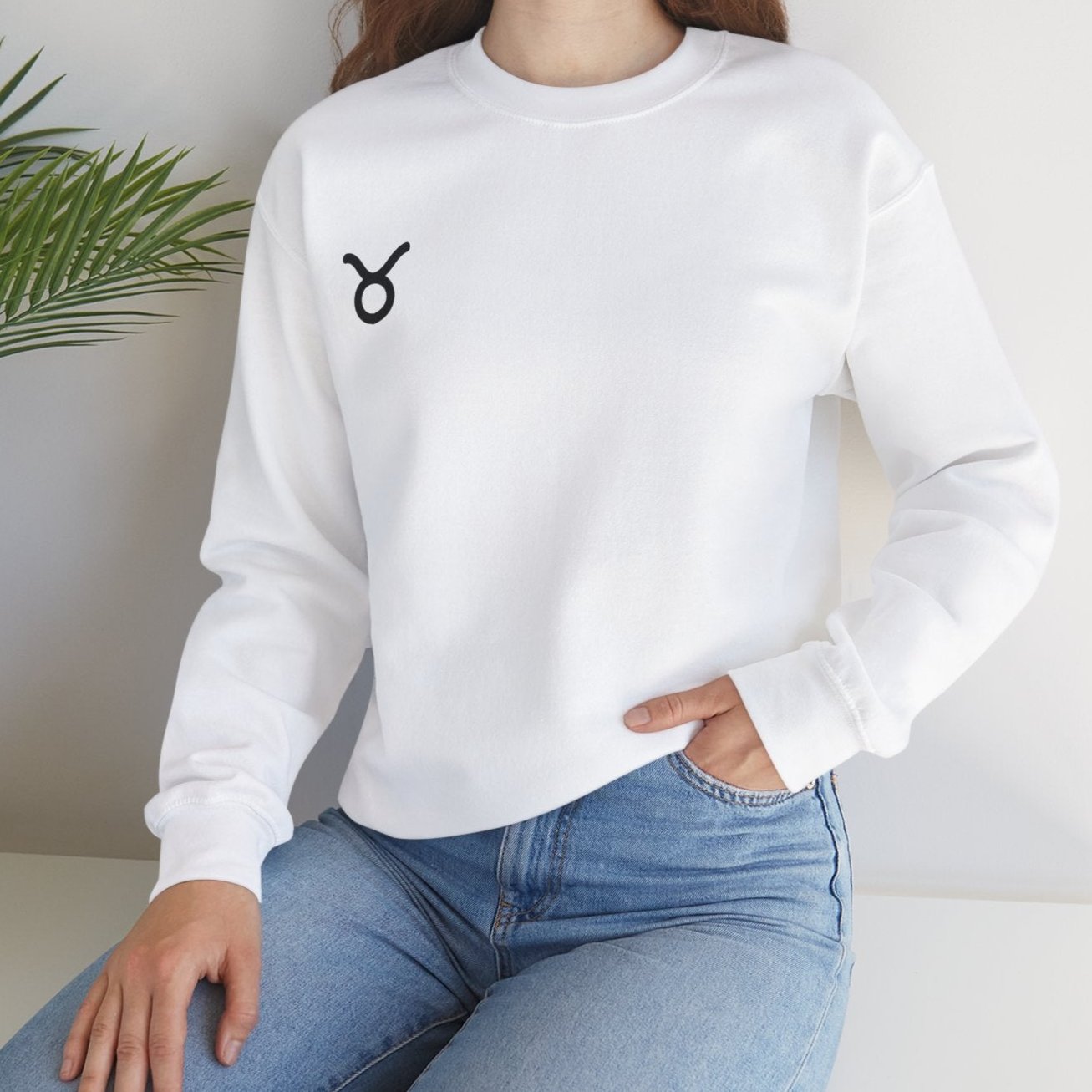 Taurus Skylight Sweatshirt